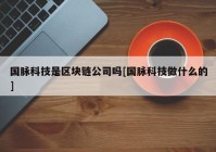 国脉科技是区块链公司吗[国脉科技做什么的]